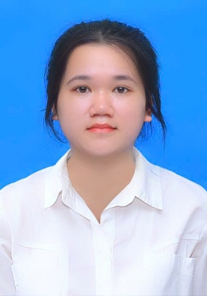 Nguyễn bảo hóa