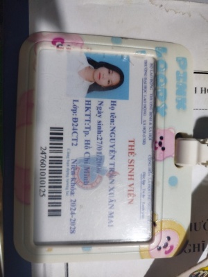 Nguyễn Trần Xuân Mai 