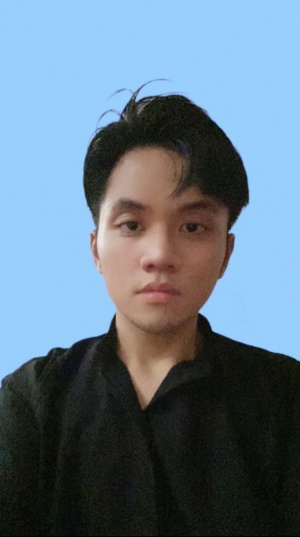 Nguyễn Trần Duy Hưng