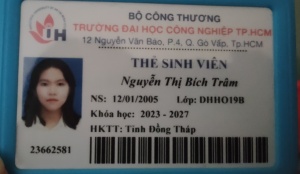 Nguyễn Thị Bích Trâm