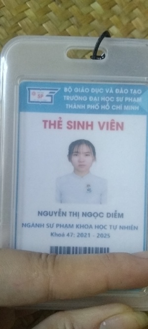 Nguyễn Thị Ngọc Diễm