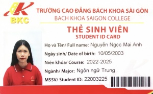 Nguyễn Ngọc Mai Anh