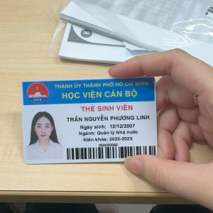 Trần Nguyễn Phương Linh