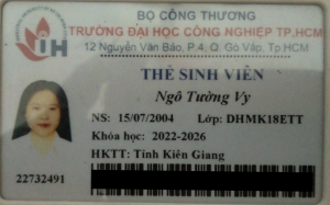 Ngô Tường Vy 